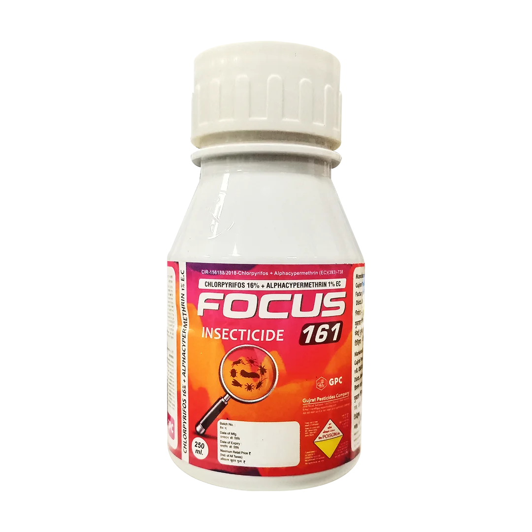 FOCUS-161 250ML